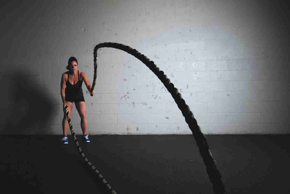 L Carnitine Supplement Fat Loss